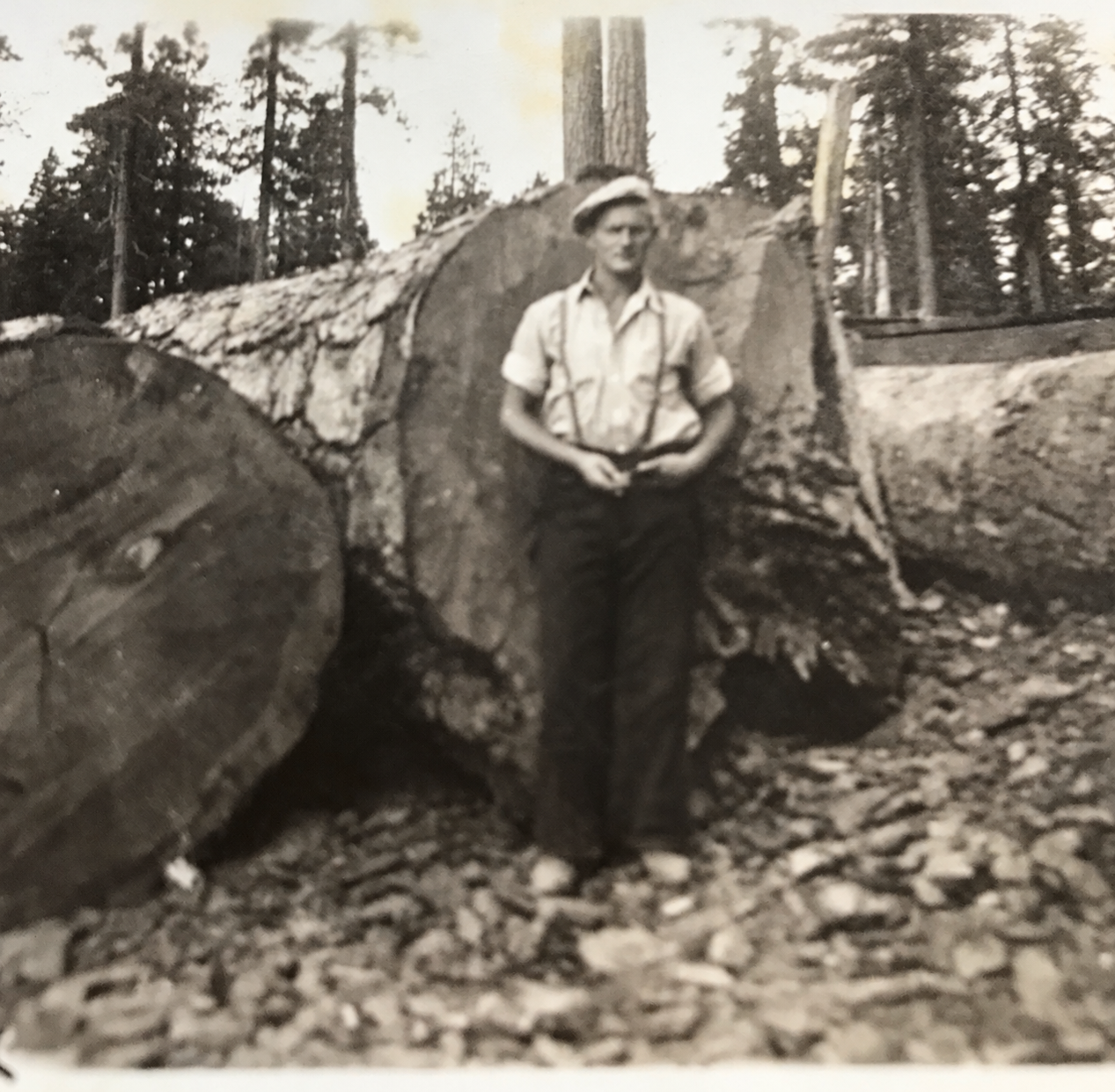 A young Wayne Lien standing beside cut logs in the woods